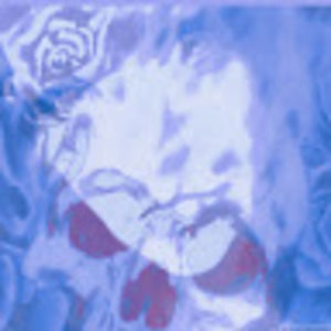 Meet your Posher, Cora